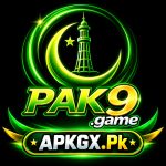 PAK9 Game