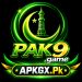 PAK9 Game